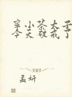 宁小茶太子殿下今天破戒了吗免费阅读
