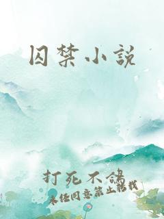 囚禁小说
