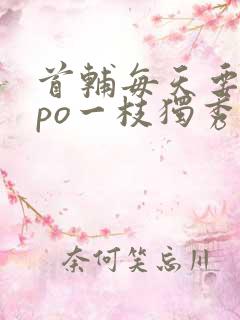 首辅每天要不够po一枝独秀全文