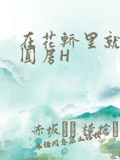 在花轿里就开始圆房H