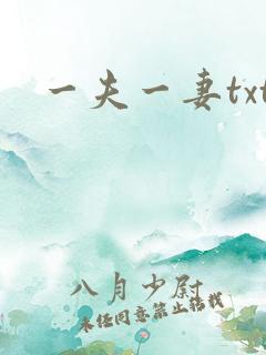 一夫一妻txt
