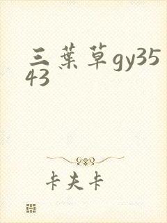 三叶草gy3543