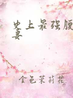 史上最强腹黑夫妻