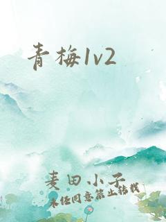 青梅1v2