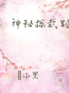 神秘总裁别玩我