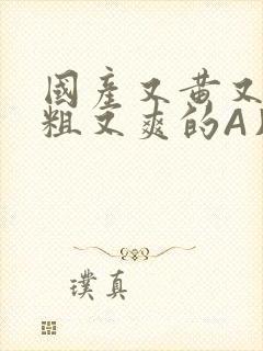 国产又黄又猛又粗又爽的A片小说