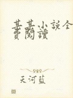 某某小说全文免费阅读