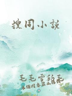 搜同小说