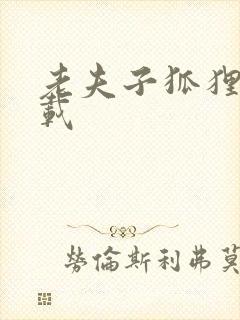 老夫子狐狸仙下载