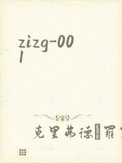 zizg-001