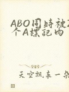 ABO同时被2个A标记肉