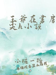 王爷在书房含乳尖h小说