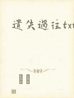 遗失过往txt