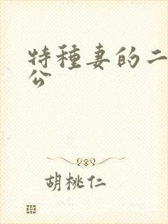 特种妻的二手老公