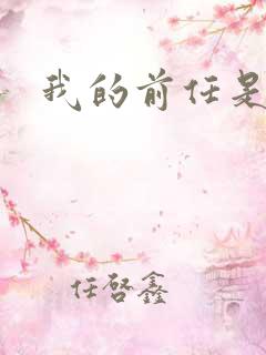 我的前任是极品