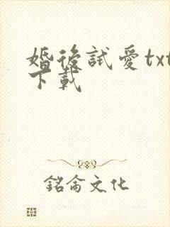 婚后试爱txt下载