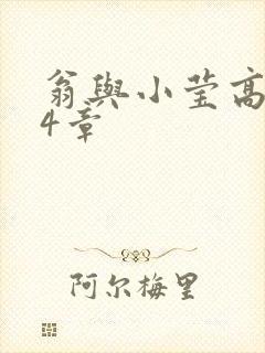 翁与小莹高潮24章