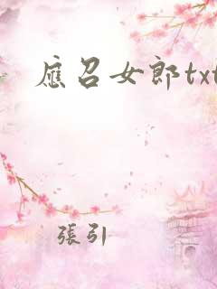 应召女郎txt