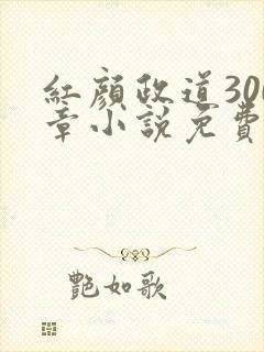 红颜政道300章小说免费阅读