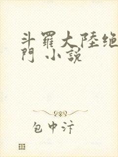 斗罗大陆绝世唐门 小说