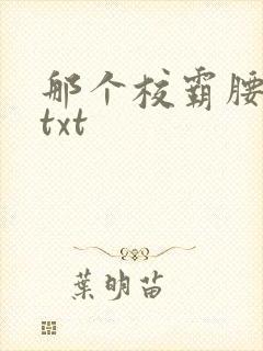 那个校霸腰好软txt