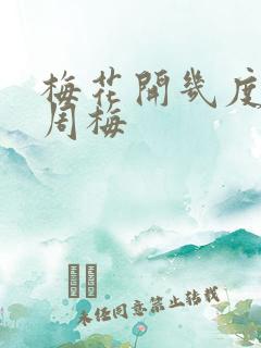 梅花开几度老张周梅