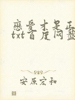 恋爱才是正经事txt百度网盘