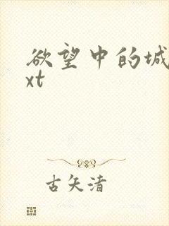 欲望中的城市txt