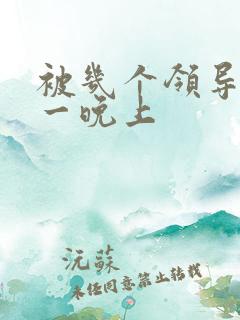 被几个领导玩弄一晚上