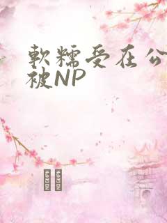 软糯受在公交车被NP
