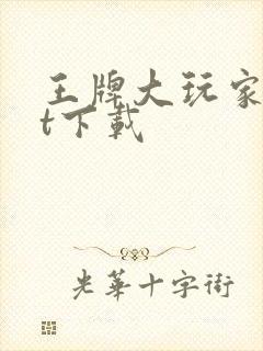 王牌大玩家txt下载