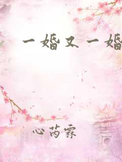一婚又一婚