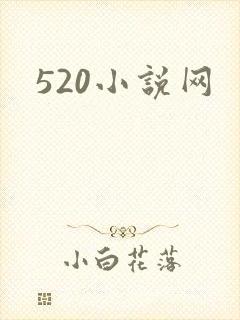 520小说网