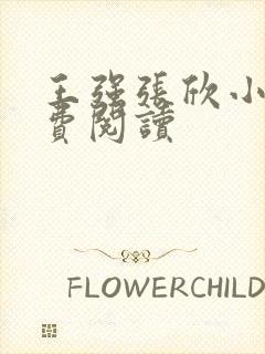 王强张欣小说免费阅读