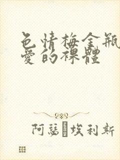 色情梅金瓶2之爱的裸体