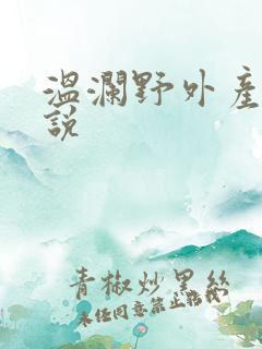 温澜野外产子小说