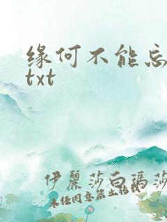 缘何不能忘记你txt