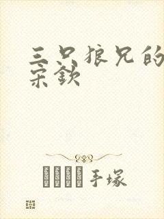 三只狼兄的宠妻宋钦