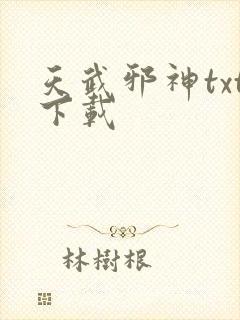 天武邪神txt下载