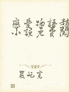 恋爱物语赵菲菲小说免费阅读全文