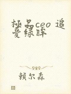 极品ceo 追爱绿眸