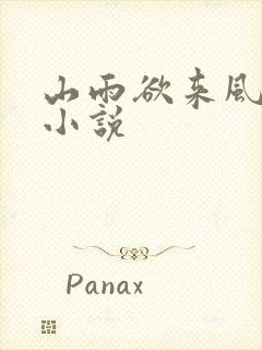 山雨欲来风满楼小说