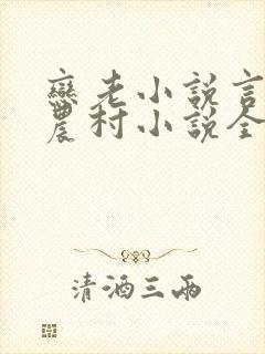 恋老小说言情网农村小说全文阅读