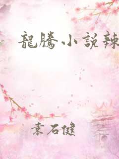 龙腾小说辣文网