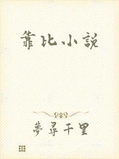 靠比小说