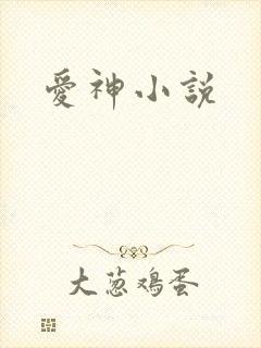 爱神小说