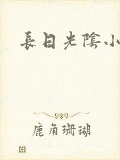 长日光阴小说