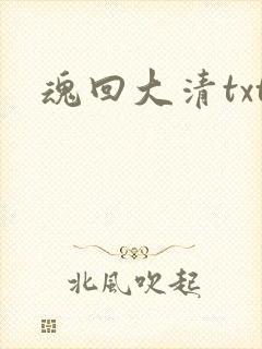 魂回大清txt