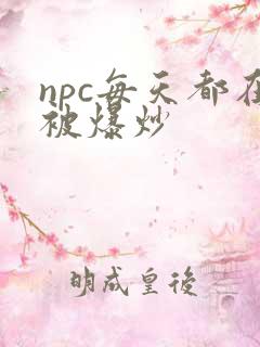 npc每天都在被爆炒