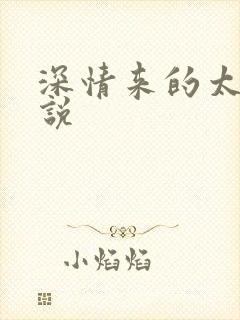 深情来的太迟小说